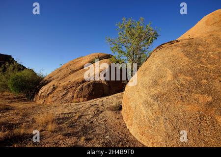 Omandumba guest Farm (ferme) : dans les rochers de granit, les montagnes Erongo près de Omaruru, Erongo, Namibie Région Banque D'Images