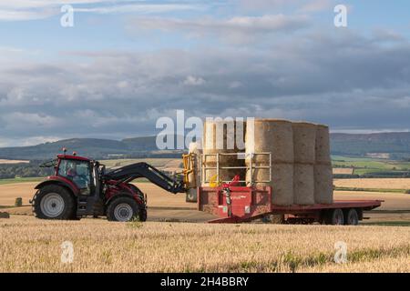 Vue sur la campagne de l'Aberdeenshire en tant qu'agriculteur d'un tracteur Valtra charge une remorque avec des balles de paille au soleil d'automne Banque D'Images