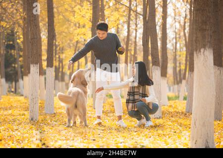 Les jeunes amoureux et leur chien de compagnie jouant dans les bois en automne Banque D'Images