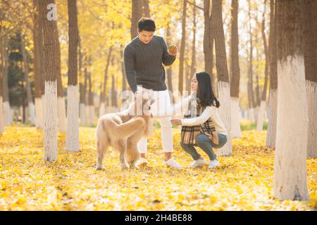 Les jeunes amoureux et leur chien de compagnie jouant dans les bois en automne Banque D'Images