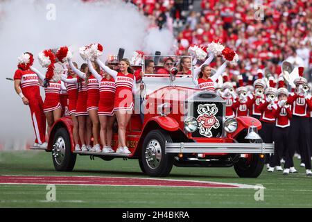 Madison, WI, États-Unis.30 octobre 2021.Entrée du Wisconsin Badgers Bucky Wagon pendant le match de football NCAA entre les Iowa Hawkees et les Wisconsin Badgers au Camp Randall Stadium à Madison, WISCONSIN.Darren Lee/CSM/Alamy Live News Banque D'Images