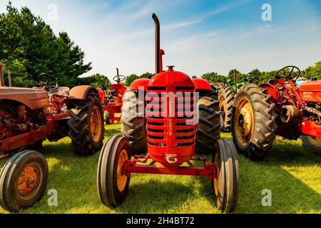 Un ancien tracteur agricole rouge Massey Harris exposé lors d'un salon de tracteurs à Warren, Indiana, États-Unis. Banque D'Images