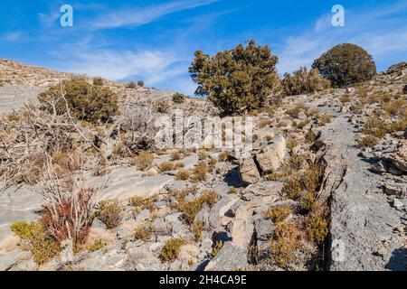 Paysage des montagnes Hajar près de Jebel Shams, la plus haute montagne d'Oman Banque D'Images