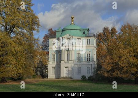 Bäume, Belvedere im Schlossgarten, Schloßpark Charlottenburg, Berlin, Allemagne Banque D'Images