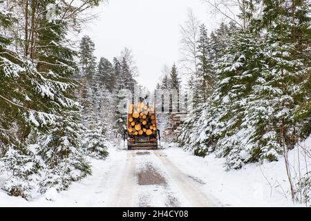 Un camion forestier charge du bois dans une forêt d'hiver Banque D'Images