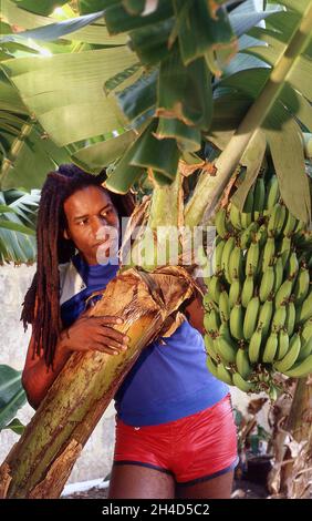 Eddy Grant à sa maison Baileys Plantation Barbade 1983 Banque D'Images