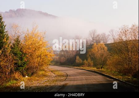 Belle route dorée au lever du soleil dans un paysage de montagne d'automne.Prenez des photos sur un appareil photo à film analogique avec du bruit Banque D'Images