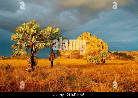 Madagascar.Parc national de l'Isalo.// Madagascar. Massif de grès dans le parc national Isolo. Banque D'Images