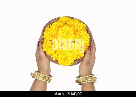 Mains de fille dans Bangles Chhodi tenant jaune Marigold fleurs dans le panier appelé Genda Phool Ki Puja Tokri ou Dalia pour l'offrande religieuse sur Shubh de Banque D'Images