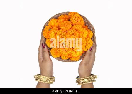 Hands of Girl in Bangles Chhodi tenant Orange Marigold fleurs dans le panier appelé Genda Phool Ki Puja Tokri ou Dalia pour l'offrande religieuse sur Shubh de Banque D'Images