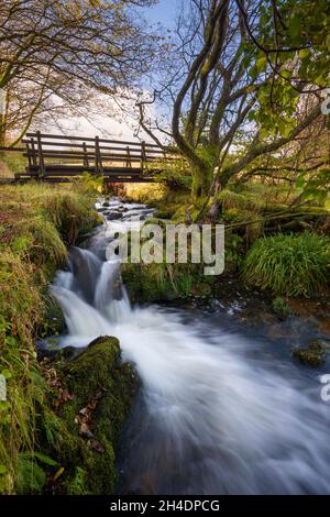 Une passerelle au-dessus de Portford Water, un affluent de la rivière Barle dans le parc national d'Exmoor près de Withypool, Somerset, Angleterre. Banque D'Images