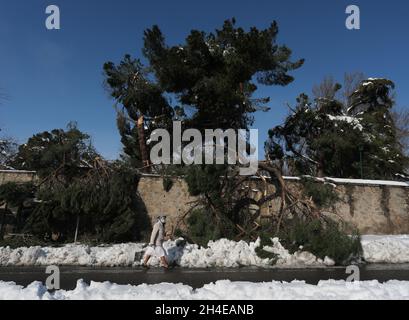 Une nonne passe devant les arbres tombés dans la ville de Tolède, dans le sud de Madrid, après la pire chute de neige observée en un demi-siècle dans le centre de l'Espagne, en raison de la tempête Filomena avec les températures sibériennes prévues à partir de lundi.Date de la photo : dimanche 10 janvier 2021.Crédit photo devrait se lire: Isabel Infantes Banque D'Images
