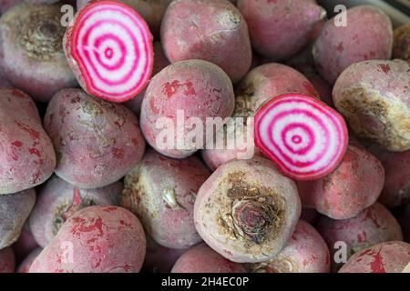 La betterave à Chioggia a été réduite de moitié Banque D'Images