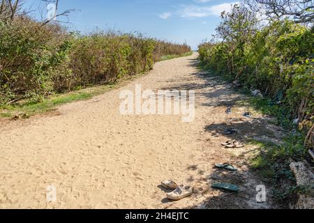 Chemin menant à la plage bordée de sandales sur Martha's Vineyard, Massachusetts Banque D'Images