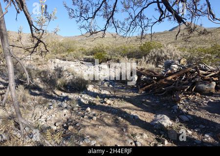 Sol du désert dans le bassin de la tularosa du Nouveau-Mexique Banque D'Images