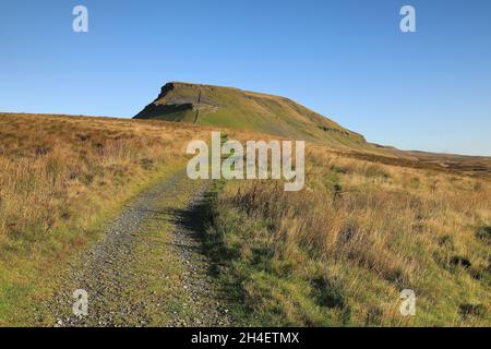 Sentier menant au sommet de Penyghent, une montagne dans les Yorkshire Dales et l'un des célèbres « trois sommets ». Banque D'Images