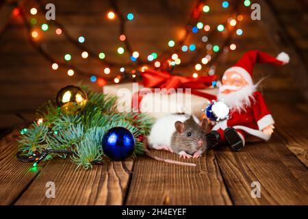 Joli rat d'animaux dans la décoration du nouvel an.Mignon rat est assis santa claus jouet, à côté de lui sont des boîtes avec des cadeaux et des décorations de nouvel an sur fond de bois, la guirlande multicolore est brillant, foyer sélectif Banque D'Images