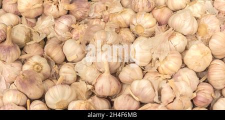 Beaucoup d'ail dans le marché, fond de texture.Pile d'ail de haute qualité Banque D'Images