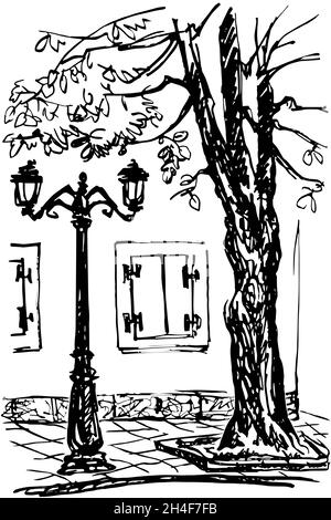 Un morceau de la rue avec un arbre, un lampadaire, et une fenêtre avec des volets fermés.Esquisse en noir et blanc. Illustration de Vecteur