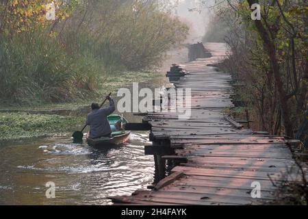 Srinagar, Inde.02 novembre 2021.Un Boatman rows son bateau dans les intérieurs du lac Dal pendant une matinée froide.Dal Lake est célèbre pour son marché de légumes flottant, qui fournit des variétés de légumes toute l'année à de nombreuses villes à travers la vallée du Cachemire.Crédit : SOPA Images Limited/Alamy Live News Banque D'Images