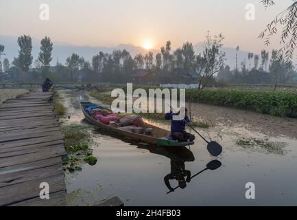 Srinagar, Inde.02 novembre 2021.Un Boatman rows son bateau dans les intérieurs du lac Dal pendant une matinée froide.Dal Lake est célèbre pour son marché de légumes flottant, qui fournit des variétés de légumes toute l'année à de nombreuses villes à travers la vallée du Cachemire.Crédit : SOPA Images Limited/Alamy Live News Banque D'Images