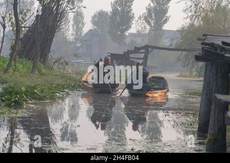 Srinagar, Inde.02 novembre 2021.Les marchands de légumes rangée leurs bateaux comme ils laissent le marché des légumes dans les intérieurs de Dal Lake.Dal Lake est célèbre pour son marché flottant de légumes, qui fournit des variétés de légumes toute l'année à de nombreuses villes à travers la vallée du Cachemire.Crédit : SOPA Images Limited/Alamy Live News Banque D'Images