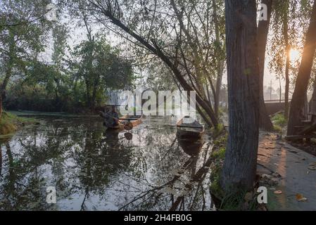 Srinagar, Inde.02 novembre 2021.Un Boatman rows son bateau dans les intérieurs du lac Dal pendant une matinée froide.Dal Lake est célèbre pour son marché de légumes flottant, qui fournit des variétés de légumes toute l'année à de nombreuses villes à travers la vallée du Cachemire.Crédit : SOPA Images Limited/Alamy Live News Banque D'Images