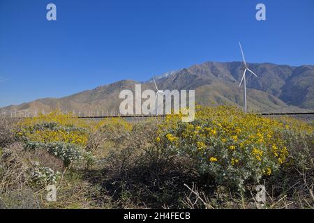 L'immense parc éolien de San Gorgonio Pass, près de Cabazon CA Banque D'Images