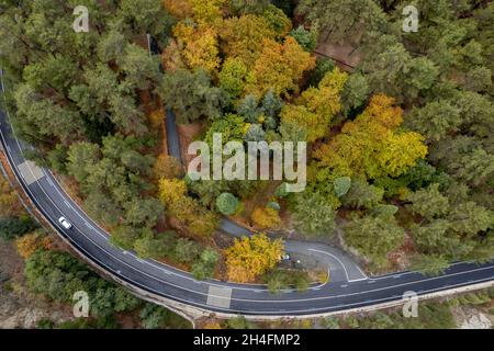 Paysage forestier de drone aérien, arbres jaunes et route incurvée en automne Banque D'Images