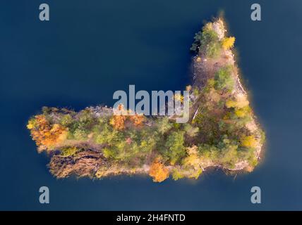 Une petite île avec des arbres d'automne jaunes. Banque D'Images