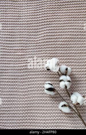 Un brin de coton sur un fond texturé, une couverture rose poussiéreuse sur le lit, vue du dessus, gros plan, espace pour copier.Concept confort, tissus naturels, intérieur de Banque D'Images