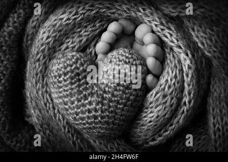 Jambes, orteils, pieds et talons d'un nouveau-né.Coeur tricoté dans les jambes de bébé.Photo en noir et blanc. Banque D'Images