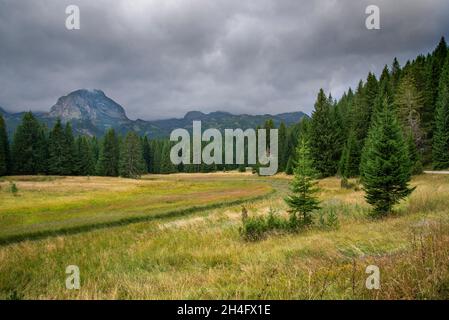 À Black Lake emplacement avec le mont Durmitor dans la distance, avec des conifères et des nuages sombres orageux approchant. Banque D'Images