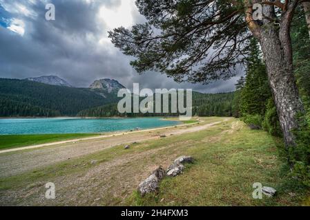 Des conifères entourent le lac animé et des nuages orageux surplombent les montagnes lointaines, au début de l'automne. Banque D'Images