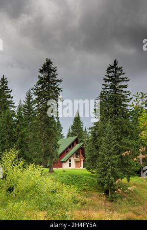 Dans une région éloignée, près du lac Black et du mont Durmitor au nord-ouest du Monténégro. Banque D'Images