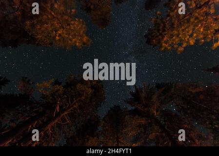 Ciel nocturne pittoresque au-dessus d'un terrain de camping dans le parc national de Yosemite, États-Unis Banque D'Images