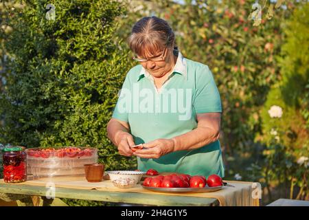 Coupe femme tomates, dans le jardin, en été, au coucher du soleil Banque D'Images