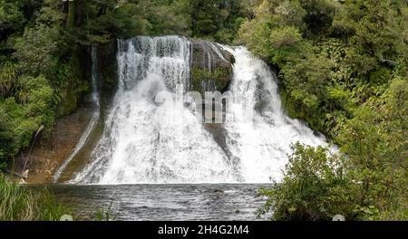 Aniwaniwa Falls, eaux de la rivière Aniwaniwa, parc national te Urewera, baie Hawke, Northland, Nouvelle-Zélande Banque D'Images