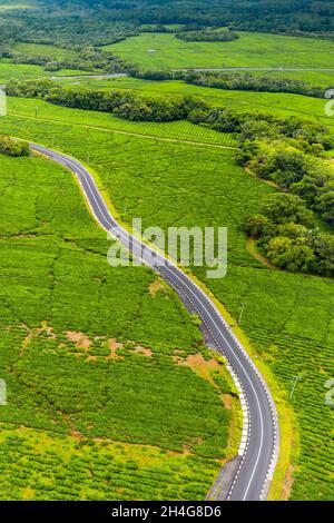 Vue aérienne d'en haut d'une route passant par des plantations de thé sur l'île Maurice, Maurice. Banque D'Images