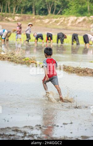 An Giang 21 septembre 2019.Les enfants jouent sur le champ de riz dans le festival traditionnel cambodgien sur le terrain Banque D'Images