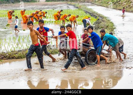 An Giang 21 septembre 2019.Les enfants jouent sur le champ de riz dans le festival traditionnel cambodgien sur le terrain Banque D'Images