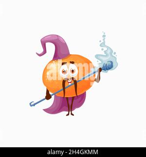 Sorcière magicienne mandarine, mandarine ou orange, personnage de dessin animé avec bâton, en chapeau de fée et cap isolé.Vecteur exotique agrumes avec magie wan Illustration de Vecteur
