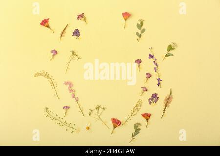 Composition avec fleurs séchées pressées sur fond beige Banque D'Images