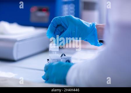 Traitement des échantillons dans un laboratoire d'histologie, Fribourg, Bade-Wurtemberg, Allemagne Banque D'Images