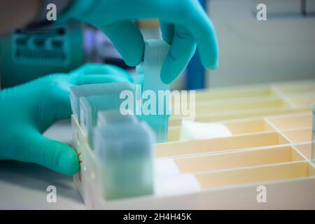 Traitement des échantillons dans un laboratoire d'histologie, Fribourg, Bade-Wurtemberg, Allemagne Banque D'Images