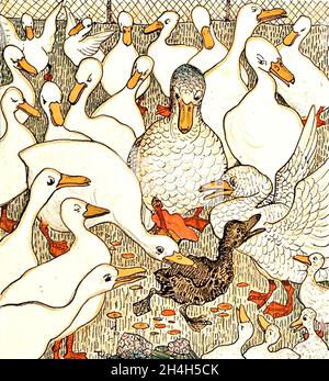 Theo van Hoytema illustration de l'laid Duckling par Hans Christian Andersen Banque D'Images