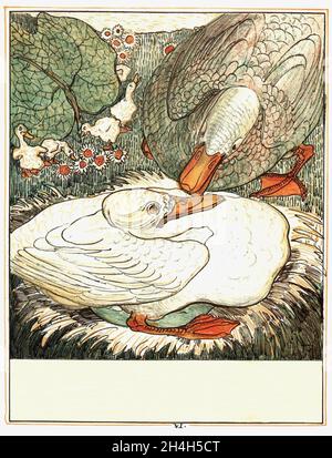 Theo van Hoytema illustration de l'laid Duckling par Hans Christian Andersen Banque D'Images