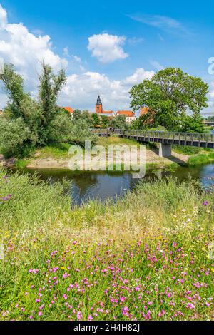 Vue de la Maison des rivières sur l'île du pétrole jusqu'à l'île de la vieille ville, Havelberg, Saxe-Anhalt, Allemagne Banque D'Images