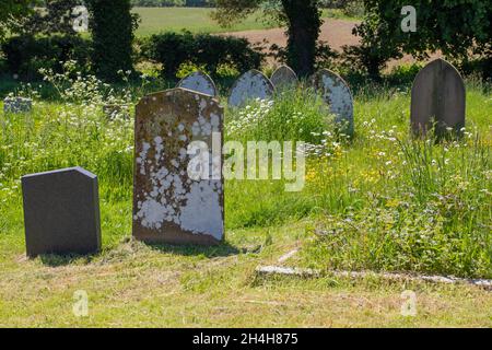 De retour à la nature, un cimetière géré, un cimetière de tombe, avec des zones laissées et mown saisonnier, avec la faune, la biodiversité, animal et plante, donné considéré Banque D'Images