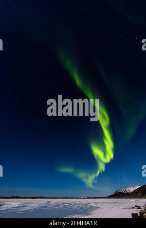 Aurora Borealis, Eggum, îles Lofoten, Nordland, Norvège Banque D'Images